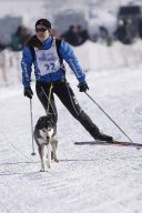 Lenk 2013